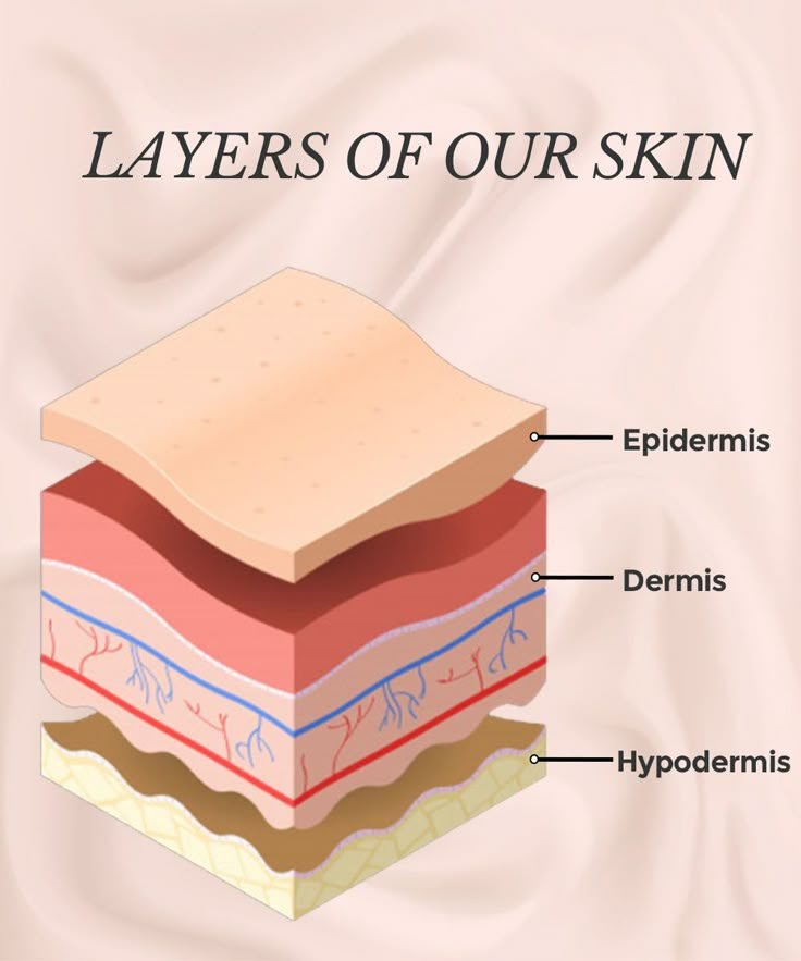  Understanding Your Skin Theory and Layers